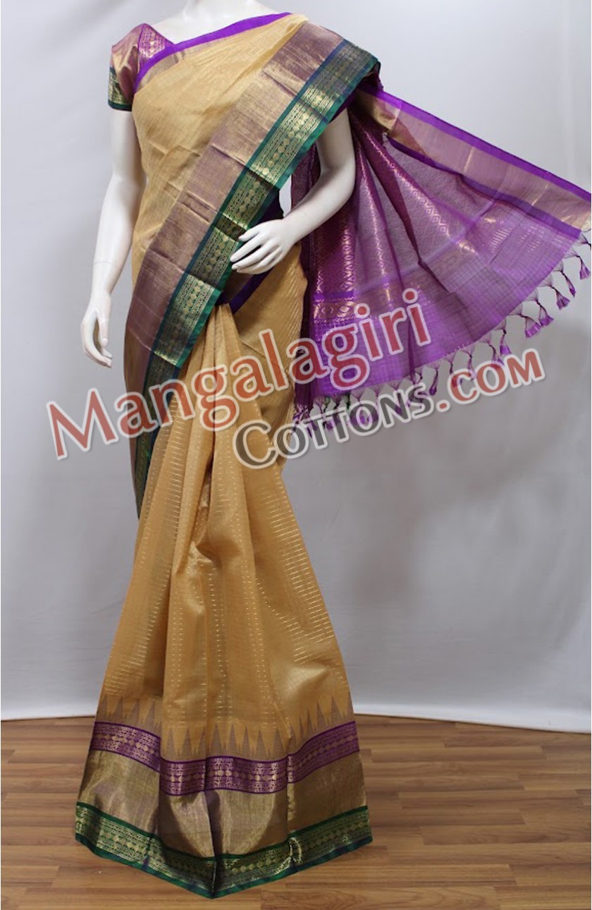 Beige - Mangalagiri Handwoven Pure Silk Pattu Saree 31